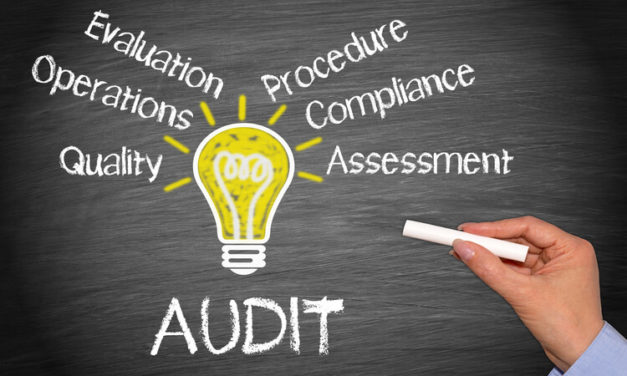 Effective Supplier Auditing for Quality Management