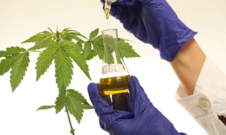 Regulated Production Of CBD. What Manufactures Should Know?